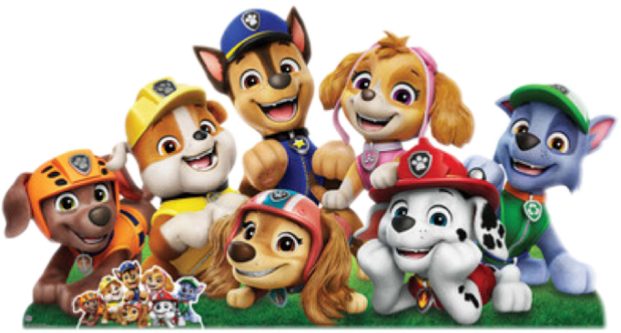 Het complete PAW Patrol team: Chase, Marshall, Skye, Rubble, Rocky, Zuma en Everest